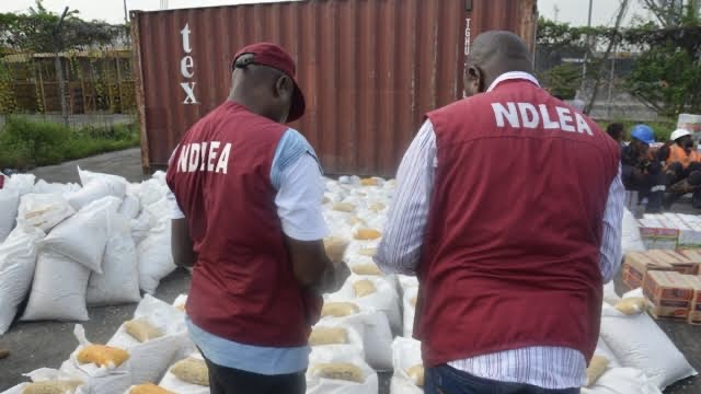 NDLEA Arrests Dispatch Riders In Abuja, Destroys 75,544kg Skunk In Edo, Other States