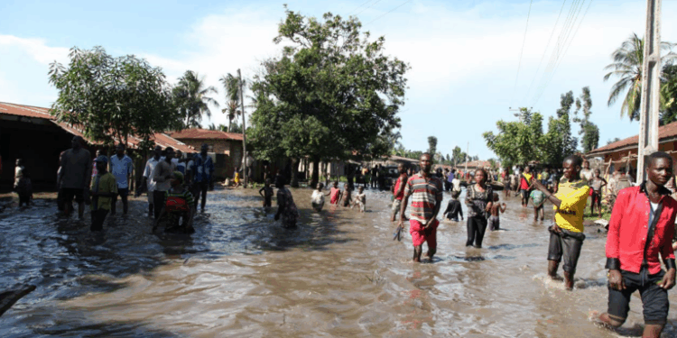 Kaduna, Kano, Katsina Rush To Prevent Flood Disasters
