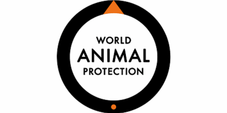 Antibiotic Resistance May Claim 10 million Lives Yearly By 2025 – WAP