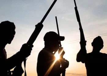 Gunmen Kill Female Vigilante Leader, 3 Others In Plateau