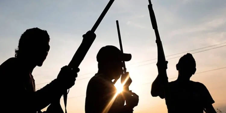 Gunmen Kill Female Vigilante Leader, 3 Others In Plateau