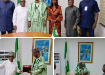 FG Advices Nigerians Travelling Abroad To Inform MFA, Foreign Missions To Avoid Mistreatment