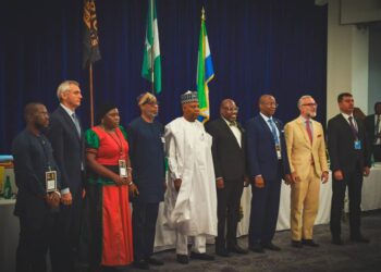 AMSG To Host 2nd High-Level Roundtable On Critical Minerals Devt In New York
