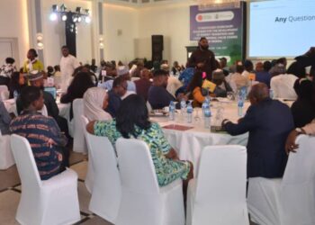 FGN Incorporates Solid Minerals Devt Roadmap For Implementation