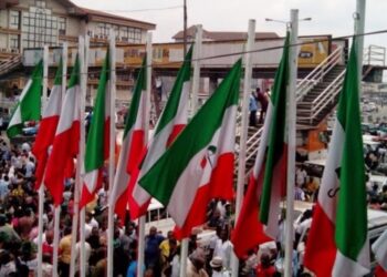 PDP Zones 2027 Presidential Ticket To South, Confirms Damagum As Substantive National Chairman