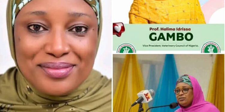 BREAKING: Interior Minister Announces President Tinubu’s Approval of Lifetime Salaries For Retiring Senior Officers