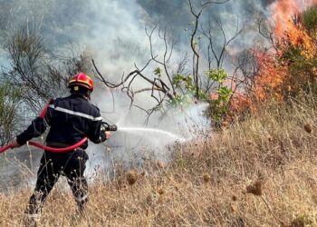 Algeria Battles Forest Fires In Several Cities