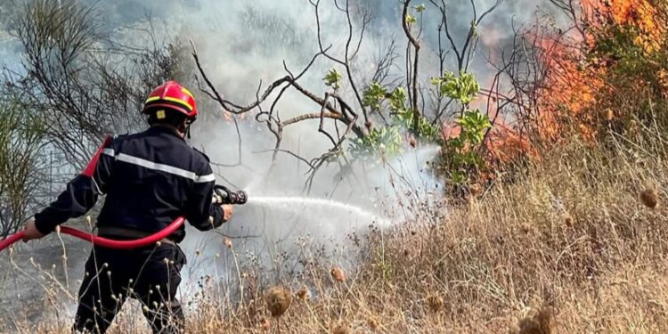 Algeria Battles Forest Fires In Several Cities