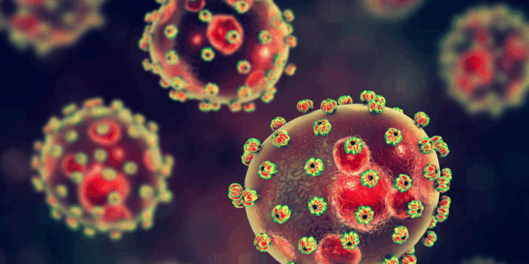 Lassa Fever Cases Decreasing; Fatality Rate High, Says NCDC