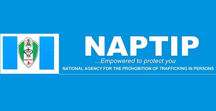 Benue Has Highest Number Of Human Trafficking Cases – NAPTIP