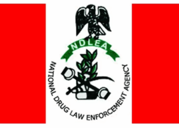 NDLEA Intercepts 825,000 Opioids Pills In Kano, Adamawa, Kogi Operations