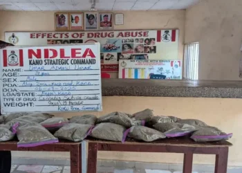 NDLEA Arrests 27-year-old With N10m Worth Of Cannabis In Kano