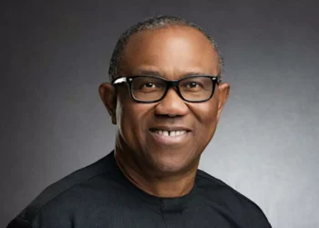 We Need Political Parties That Outgrow Government in  New Nigeria — Obi