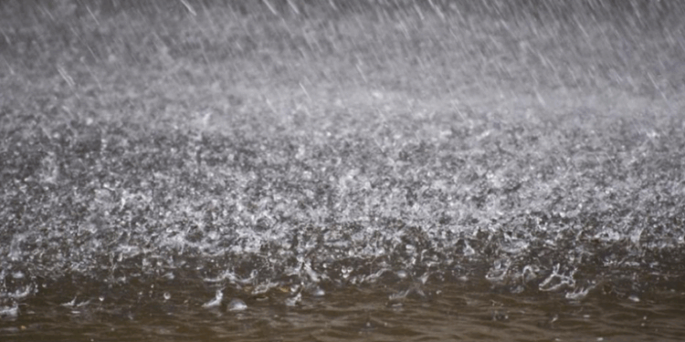 260 Army Officers Sit Senior Staff Course Qualifying Exam