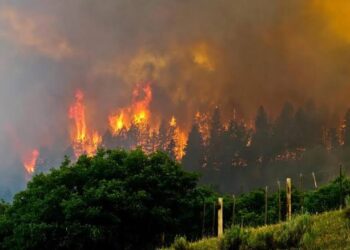 Wildfire Rages Across Corbieres Hills in Southwestern France
