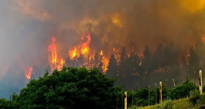 Wildfire Rages Across Corbieres Hills in Southwestern France
