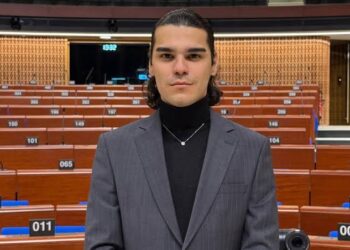 Turkish Activist Arrested After Council of Europe Speech