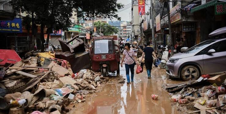 China Battles Chikungunya Surge with Mosquito Crackdown in Foshan