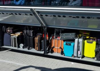 Toddler Found Alive in Suitcase on New Zealand Bus