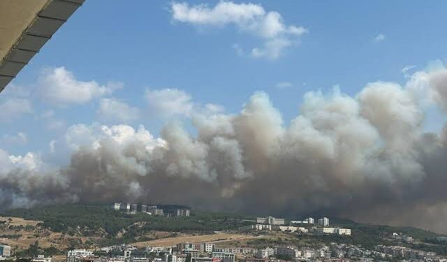 Wildfires Force Closure of Key Turkish Waterway