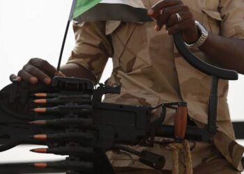 Rapid Support Forces Attack on Famine-Stricken Camp Kills Dozens in North Darfur