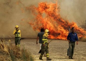 Wildfires Spread Across Southern Europe Amid Extreme Heat