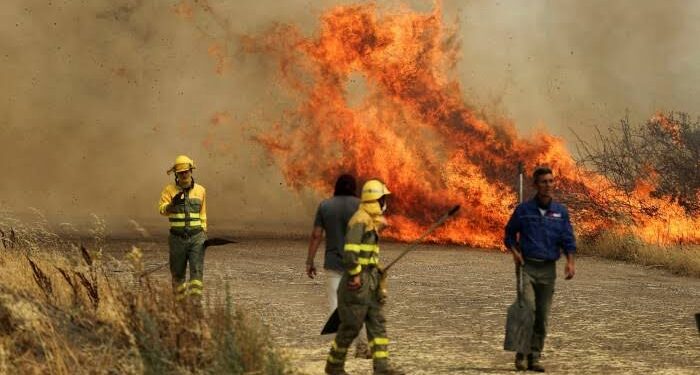Wildfires Spread Across Southern Europe Amid Extreme Heat