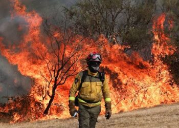 Fierce Wildfires Sweep Greece Amid Intense Heatwave