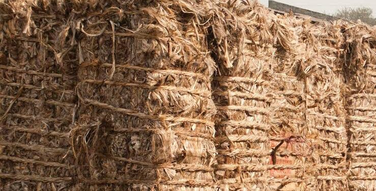 India Blocks Land Port Access for Jute Products from Bangladesh
