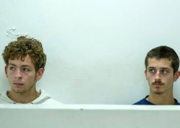 Teenagers Face Jail for Massive Ant Smuggling Case