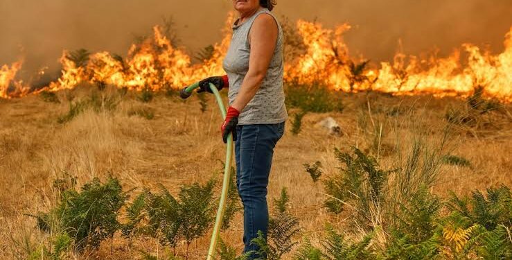 Spain still battles fierce wildfires amid extreme heatwave