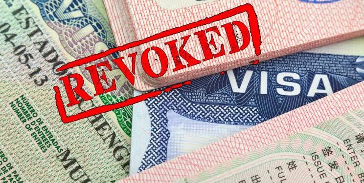 US Revokes Over 6,000 Student Visas Citing Crime and Security Concerns