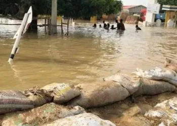 Jigawa Govt Constructs 132km Embankment To Control Flooding 