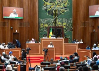 Senegal Passes First Whistleblower Law in Francophone Sub-Saharan Africa