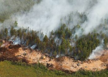 Nova Scotia Wildfire Damages Homes, Forces Hundreds to Evacuate