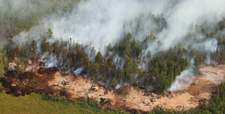 Nova Scotia Wildfire Damages Homes, Forces Hundreds to Evacuate