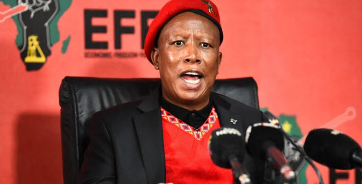South African Court Rules Malema Guilty of Hate Speech