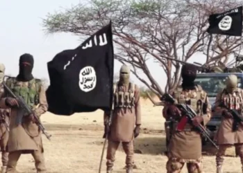 2 Boko Haram Commanders, 11 Others Neutralized in Foiled Attack in Borno