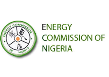 UN Pushes Nigeria On Disability Act Implementation