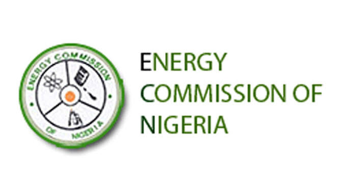 UN Pushes Nigeria On Disability Act Implementation