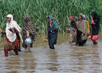 Punjab Flood Crisis Displaces Over One Million