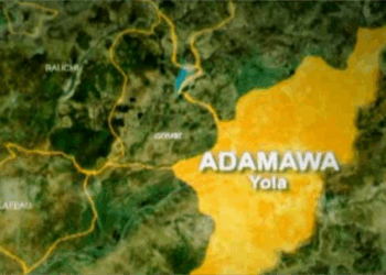 Police Arrest Adamawa Man Over Child’s Murder