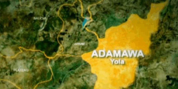 Police Arrest Adamawa Man Over Child’s Murder