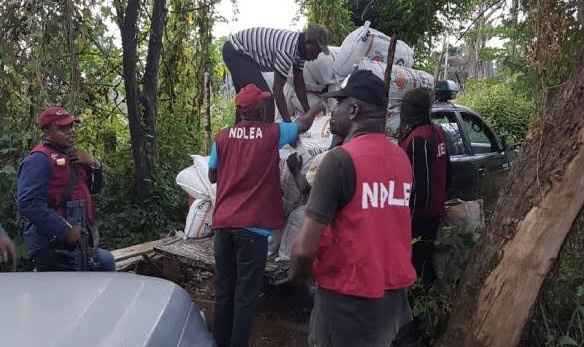 N1.1 Billion Codeine Consignment Intercepted in Rivers – NDLEA