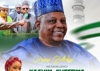 NDPHC Appreciates Shettima’s Support For NESI, Felicitates VP At 59