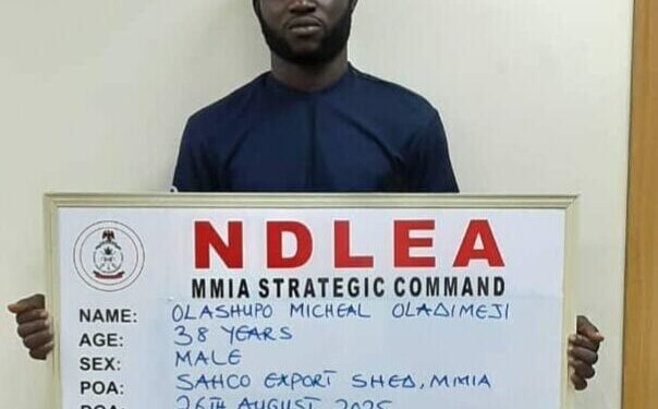 NDLEA Smashes Drug Cartel, Arrests 3 Kingpins, Intercepts N5.3bn Cocaine