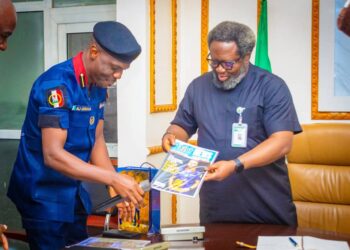 Raw Material Council, NSCDC Patner to Tackle Illegal Mining