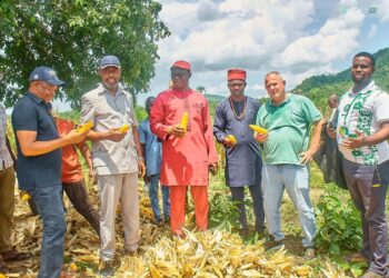 Kogi Govt Deepens Ties with Agencies, Investors to Boost Food Security, Agro-Export