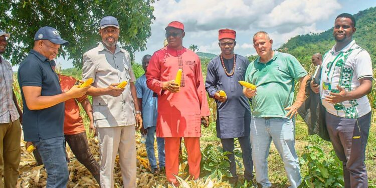 Kogi Govt Deepens Ties with Agencies, Investors to Boost Food Security, Agro-Export