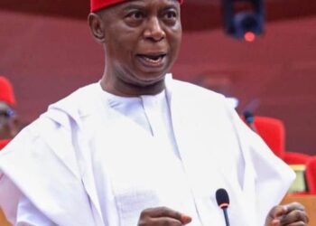 Recess Opportunity To Deepen Engagement With My people, Not Withdrawal From Duty –Nwoko